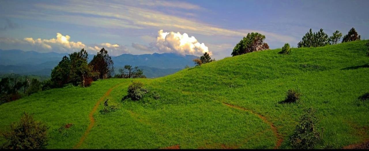 Secret Staycation Nature Cottages Kandaghat Luaran gambar